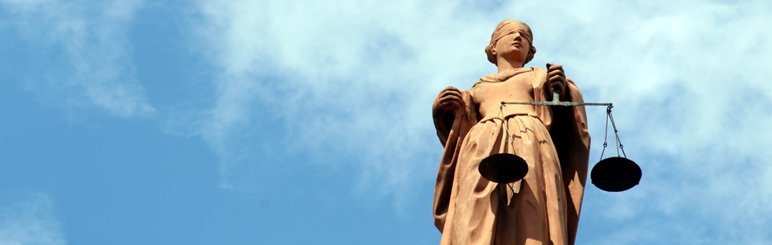 Litigation-Support